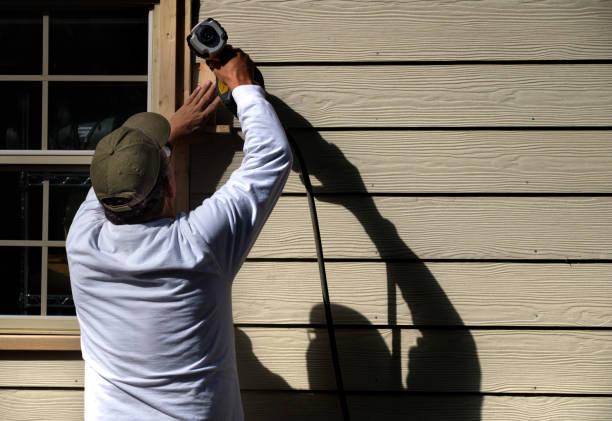 Best Fascia and Soffit Installation  in Zionsville, IN