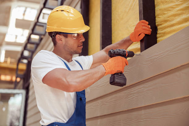 Best Siding Painting and Refinishing  in Zionsville, IN