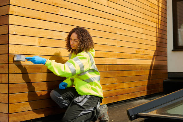 Best Steel Siding Installation  in Zionsville, IN