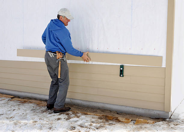 Best Brick Veneer Siding  in Zionsville, IN